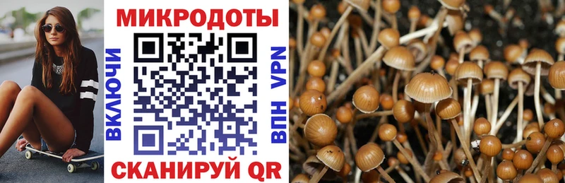 Купить  Вятские Поляны  Псилоцибиновые грибы мухоморы 